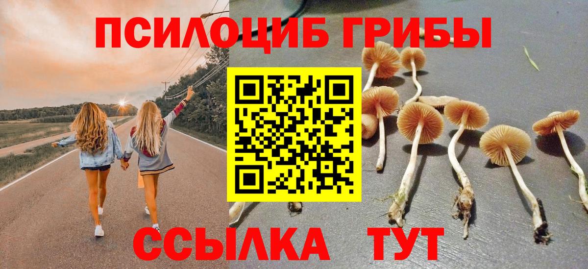 Дивногорск  Псилоцибиновые грибы GOLDEN TEACHER  Вход с VPN  Галлюциногенные грибы ЛСД 