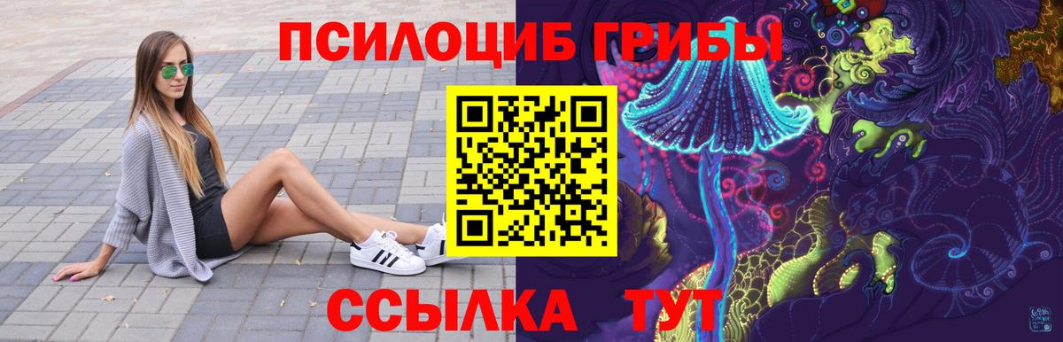 Псилоцибиновые грибы мухоморы Дивногорск